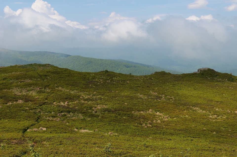 Landscape nature grass horizon