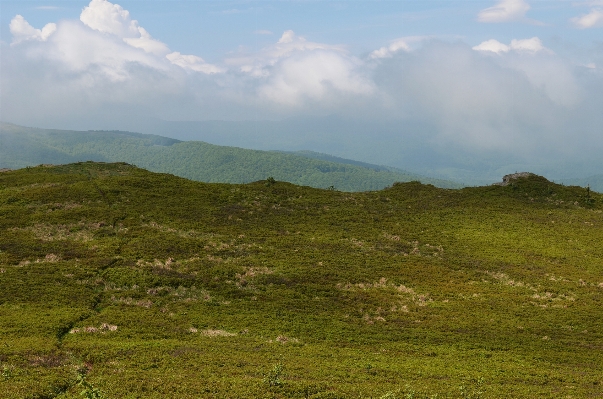 Landscape nature grass horizon Photo