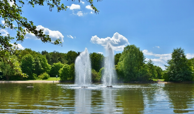 Tree water nature meadow Photo