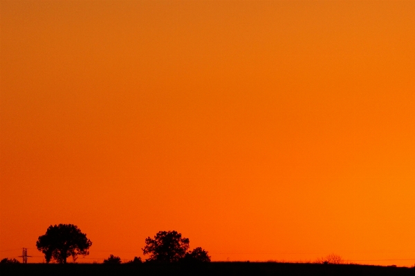 Horizon cloud sky sun Photo