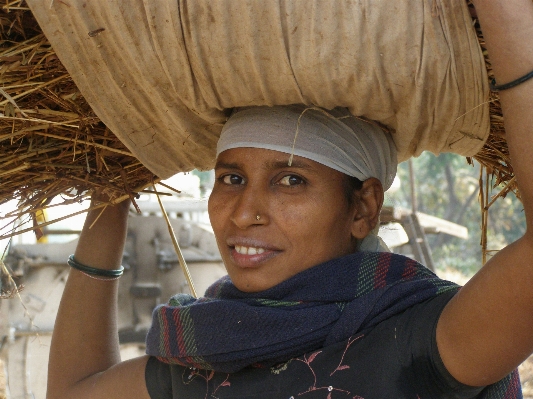 Person people woman farm Photo