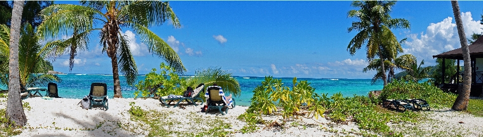 Beach landscape sea nature