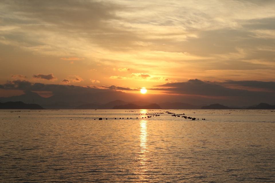 Plage paysage mer côte