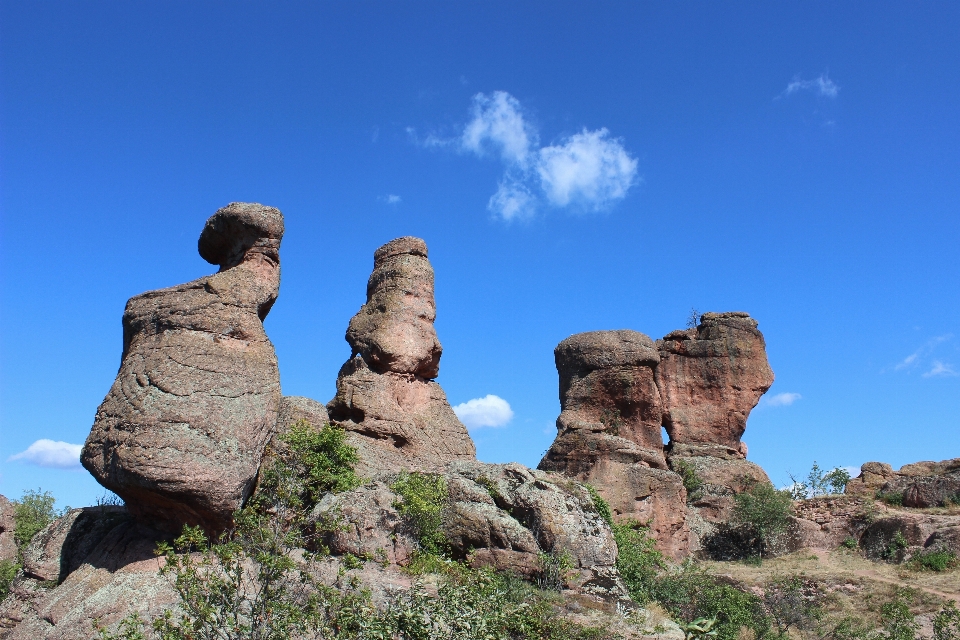 Manzara doğa orman rock