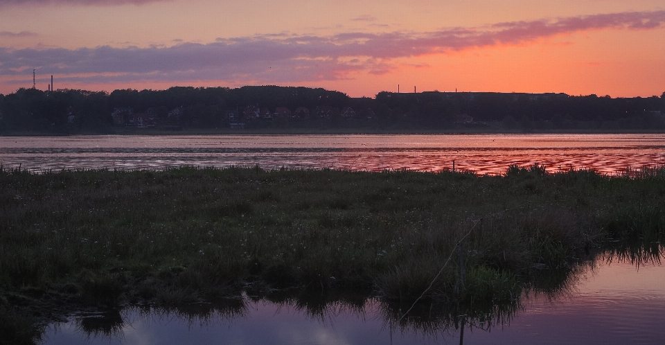 Landscape water nature marsh