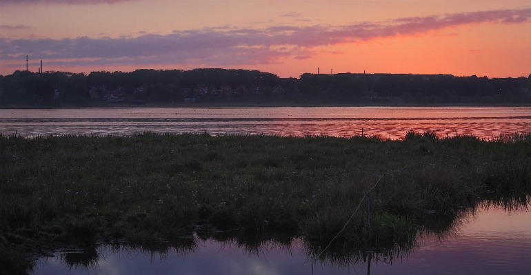 Landscape water nature marsh Photo