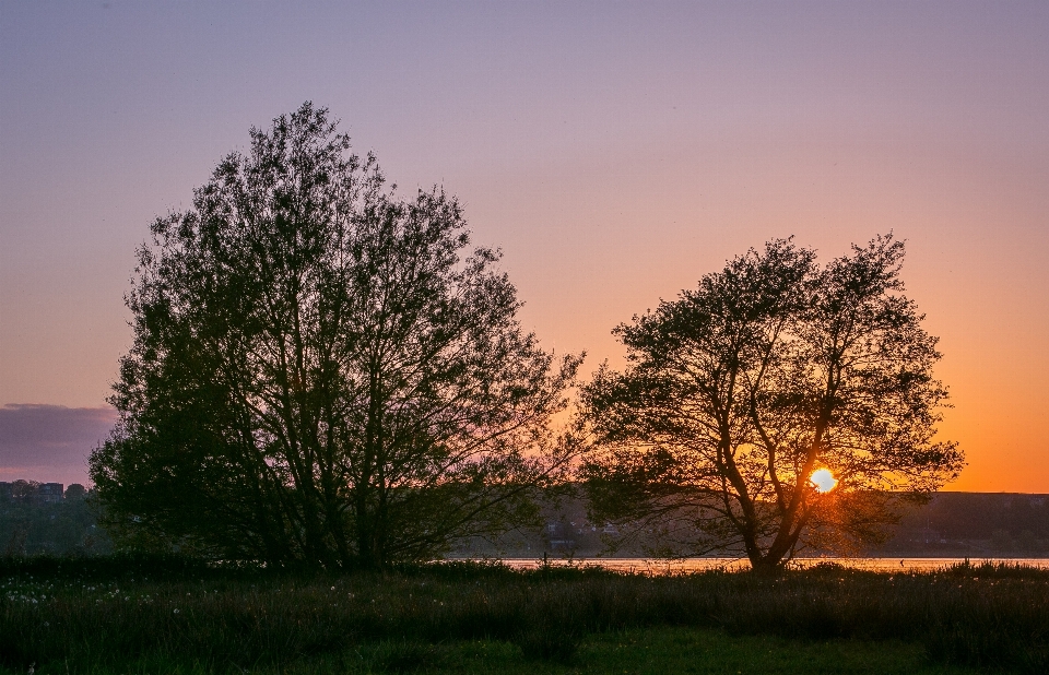 Landschaft baum wasser natur