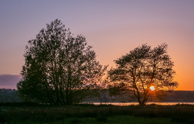 Landscape tree water nature Photo