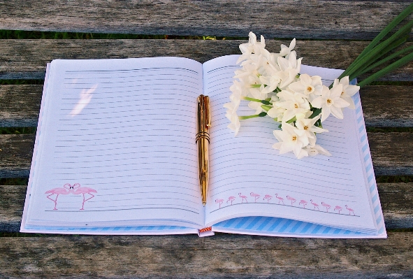 Notebook writing book creative Photo