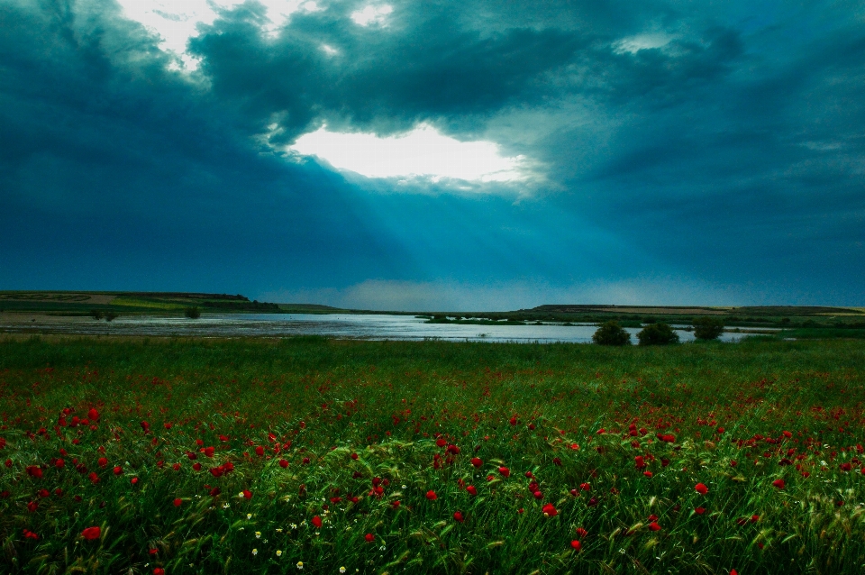 Landscape sea coast nature