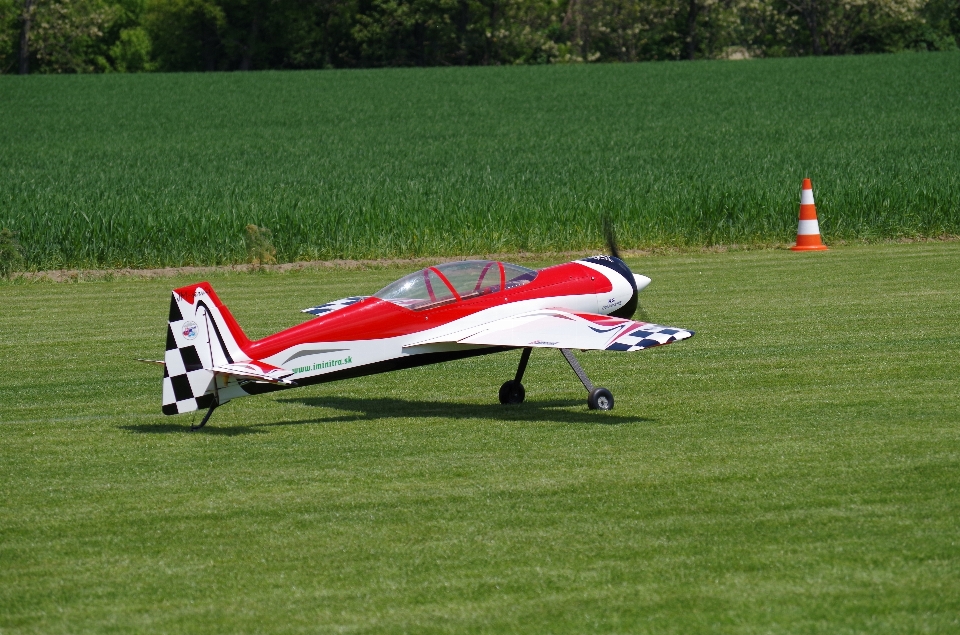 Ala avión aeronave modelo