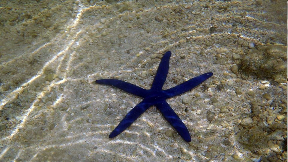 Beach sea nature sand