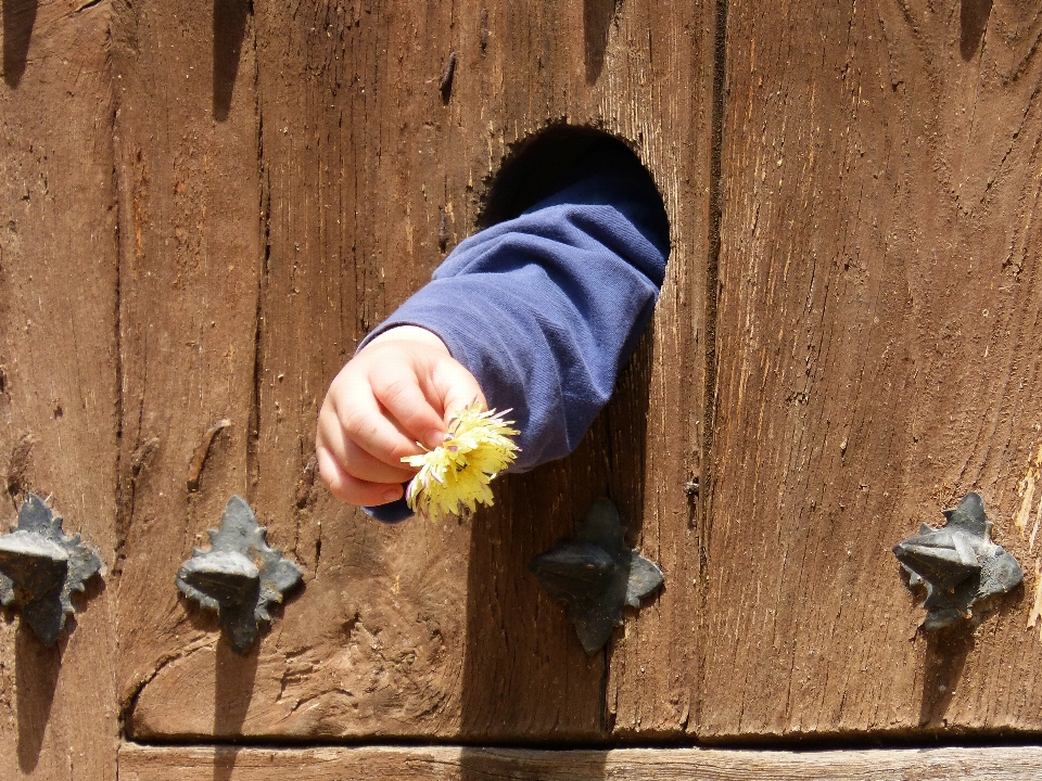 Wood flower wall spring