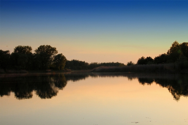 Foto Paesaggio albero acqua natura