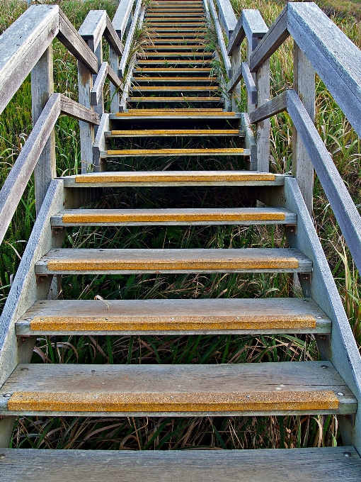 小路 通路 步行 木头