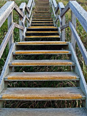 Foto Caminho andando madeira acompanhar