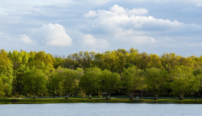 Landscape tree water nature Photo