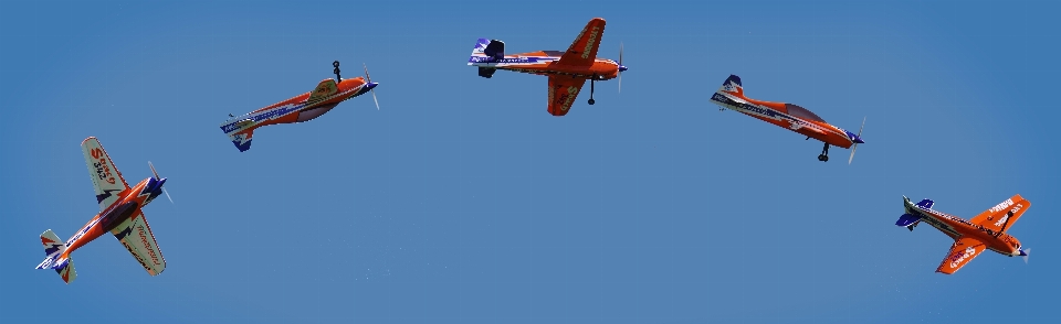 羽 飛ぶ 航空機 航空会社