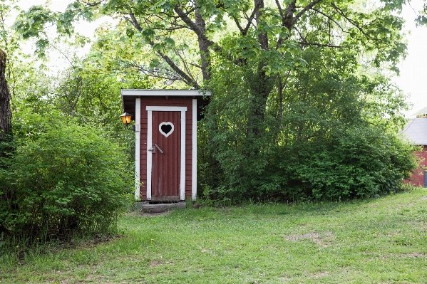 Foto Natura all'aperto architettura struttura