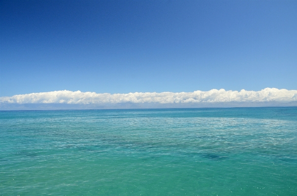 Landscape sea coast ocean Photo