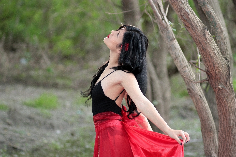 Foresta ragazza donna fotografia