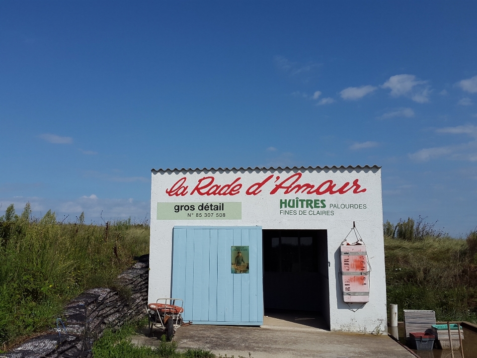 Advertising france sign fish