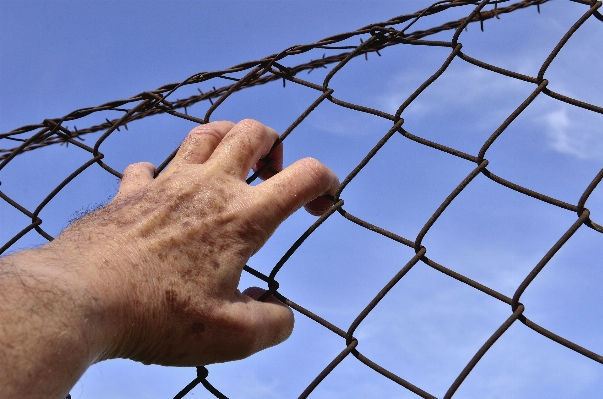 Hand tree branch fence Photo