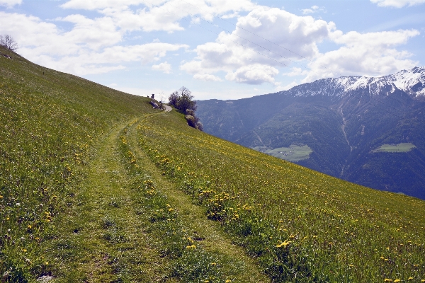 Landscape nature grass wilderness Photo