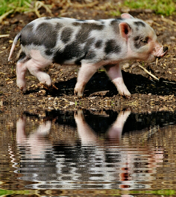 Water play sweet cute