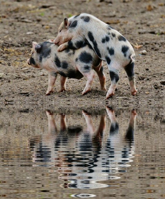 Water play sweet cute