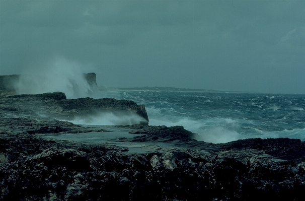 Beach sea coast rock Photo