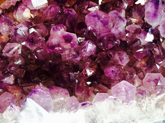 Rock texture purple petal Photo