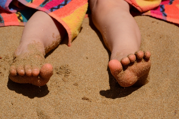 Hand beach sea sand Photo