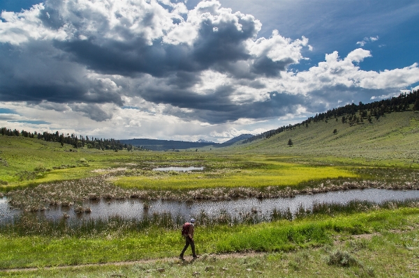 Landscape grass marsh wilderness Photo