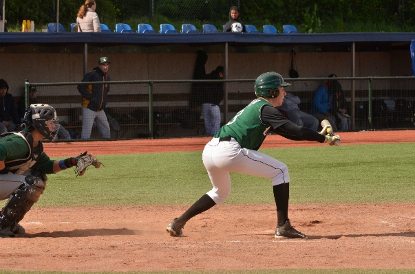 Grass baseball stadium field Photo