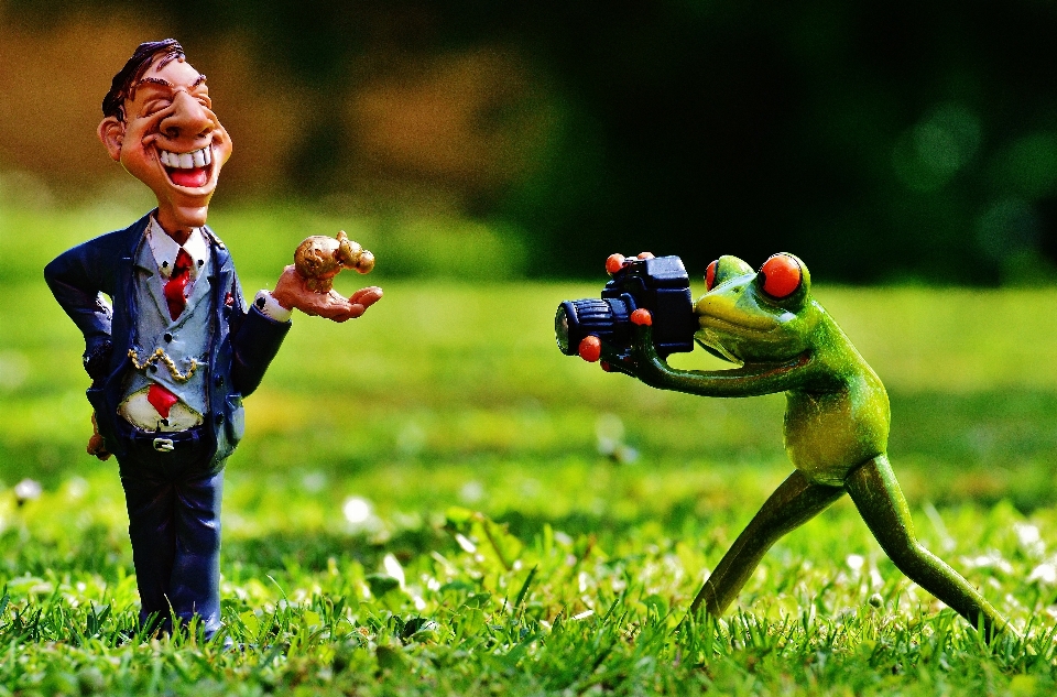 Homme pelouse photographe grenouille