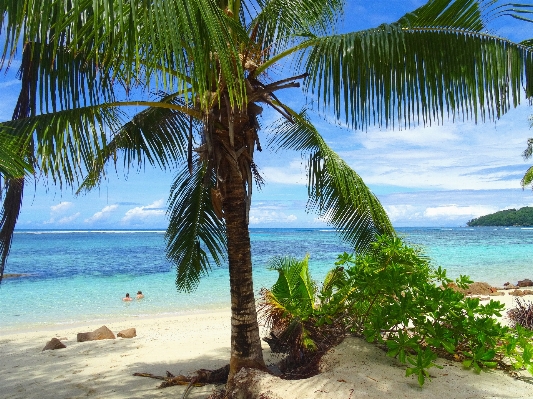 Beach landscape sea coast Photo