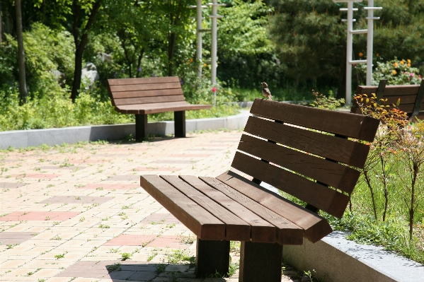 Table forest wood bench Photo