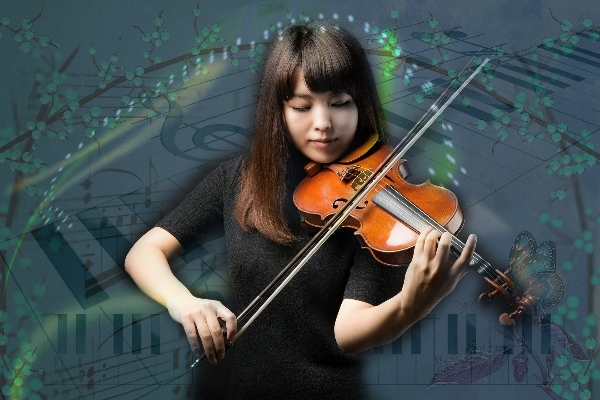 Music note musical instrument violin Photo