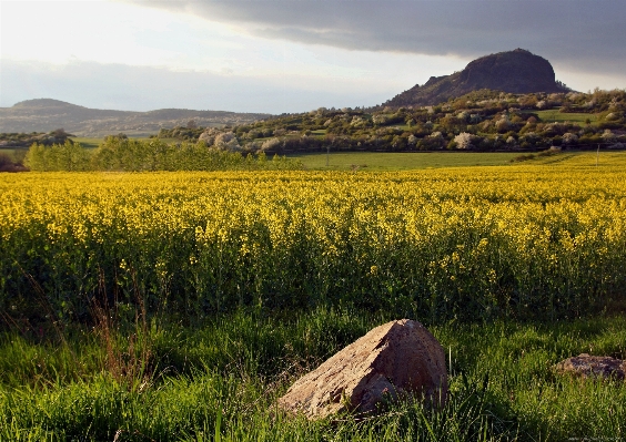 Landscape grass rock horizon Photo