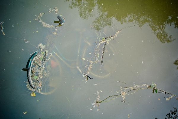 Water nature bridge wheel Photo