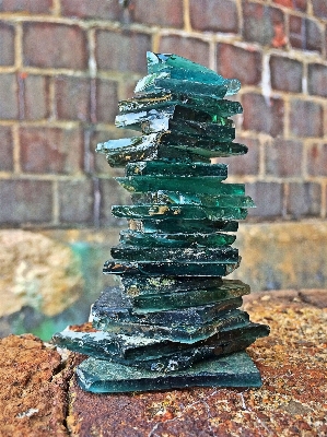 Tree rock wood glass Photo