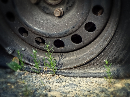 Wheel auto tire rim Photo