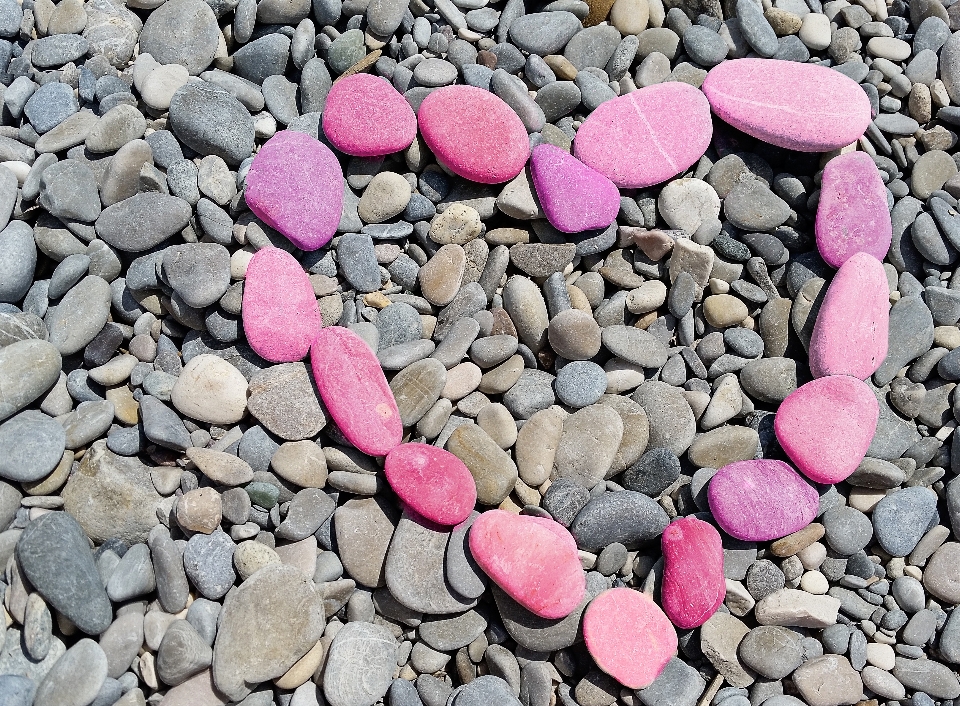 Strand natur rock blütenblatt