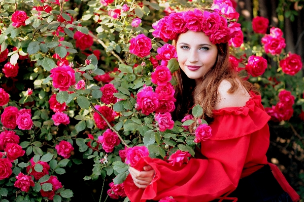 Plant girl flower rose Photo