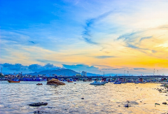 Beach sea coast ocean Photo