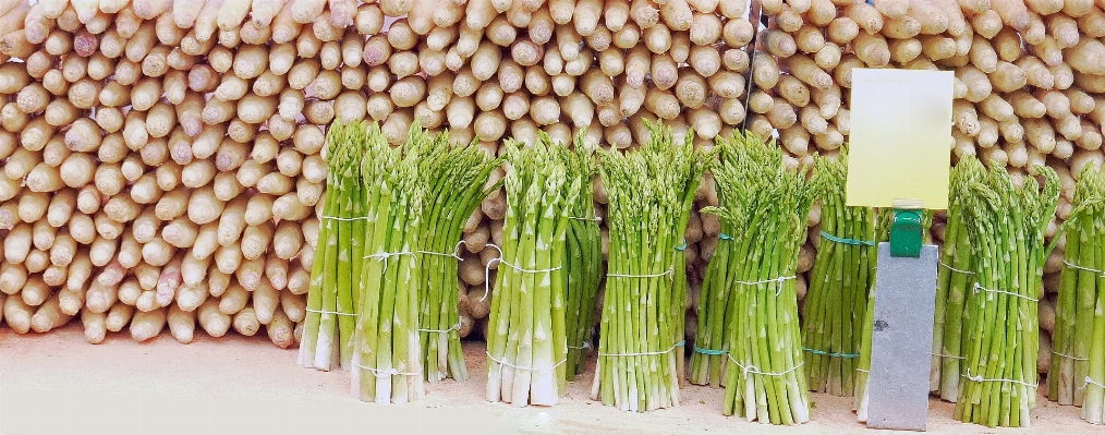 植物 食物 生产 蔬菜 照片