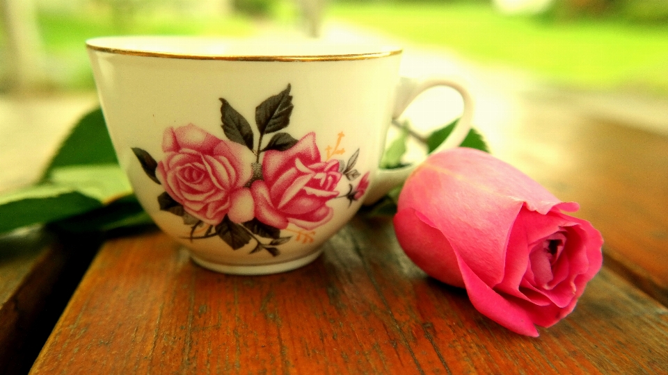 Blossom plant tea flower