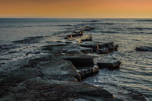 ビーチ 海 海岸 水 写真