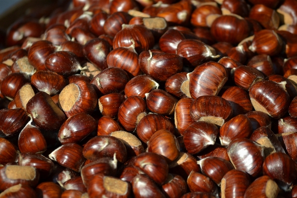 Essen produzieren gemüse ernte Foto